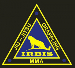 Клуб смешанных единоборств ИРБИС - MMA